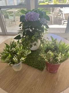 1er Mai : Le Muguet Porte-Bonheur offert aux Résidents et aux Salariés