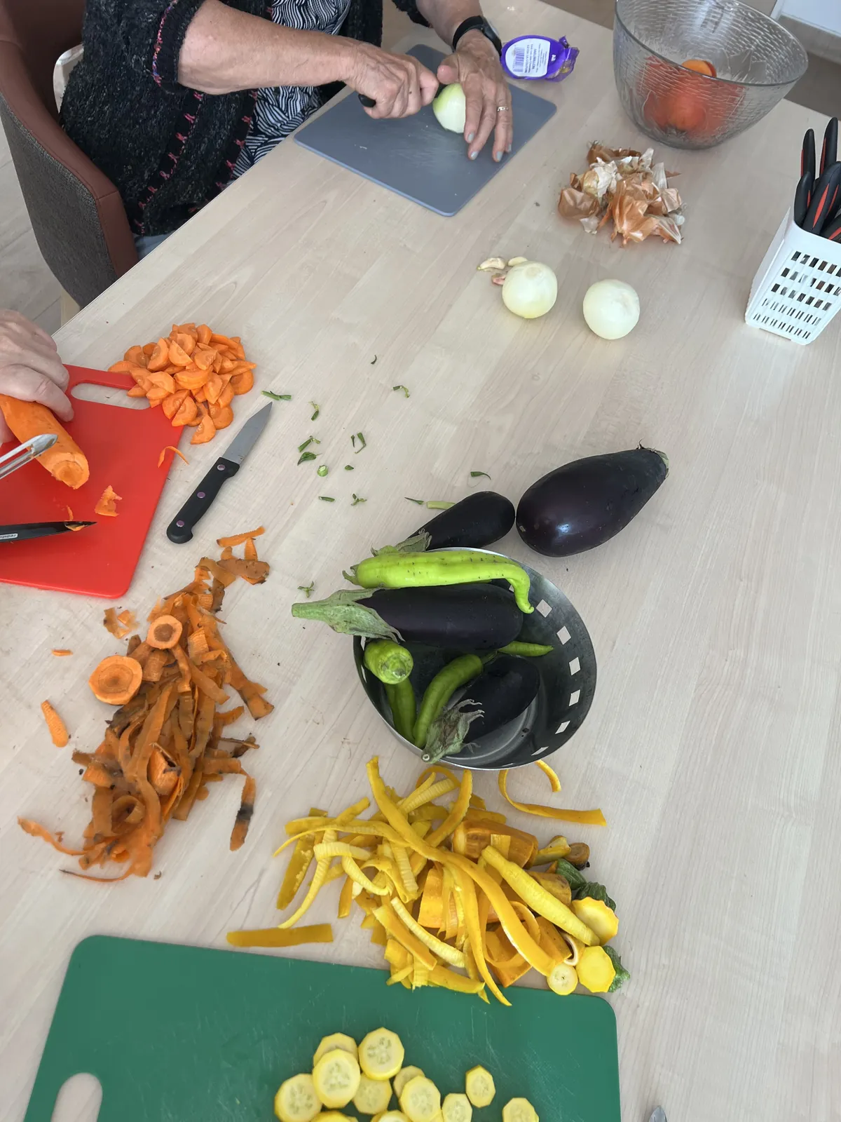 Un Repas Thérapeutique aux Saveurs du Jardin : Quand le PASA Fait Germer la Vie