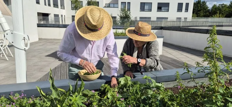 Un Repas Thérapeutique aux Saveurs du Jardin : Quand le PASA Fait Germer la Vie