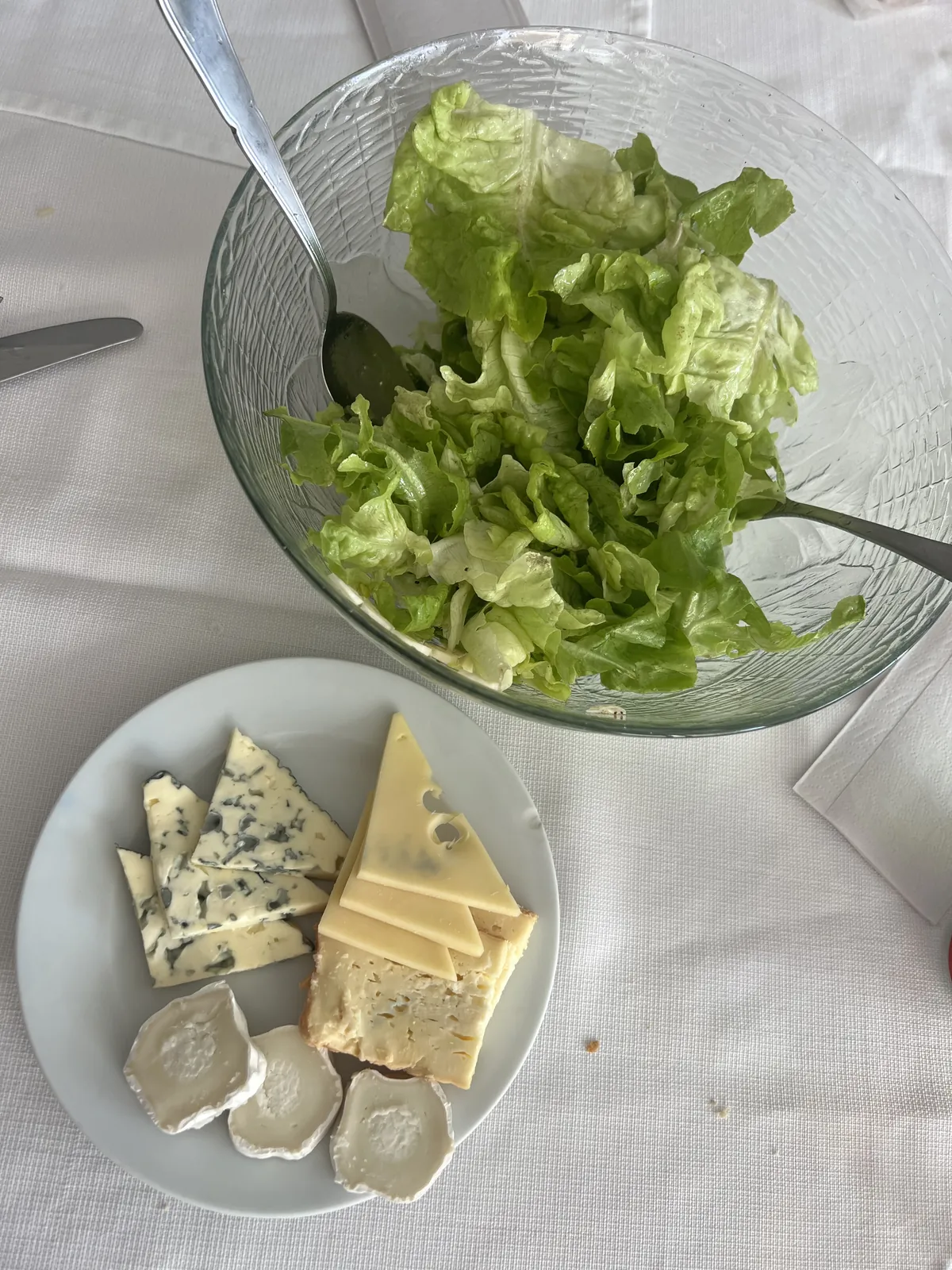 Un Repas Thérapeutique aux Saveurs du Jardin : Quand le PASA Fait Germer la Vie