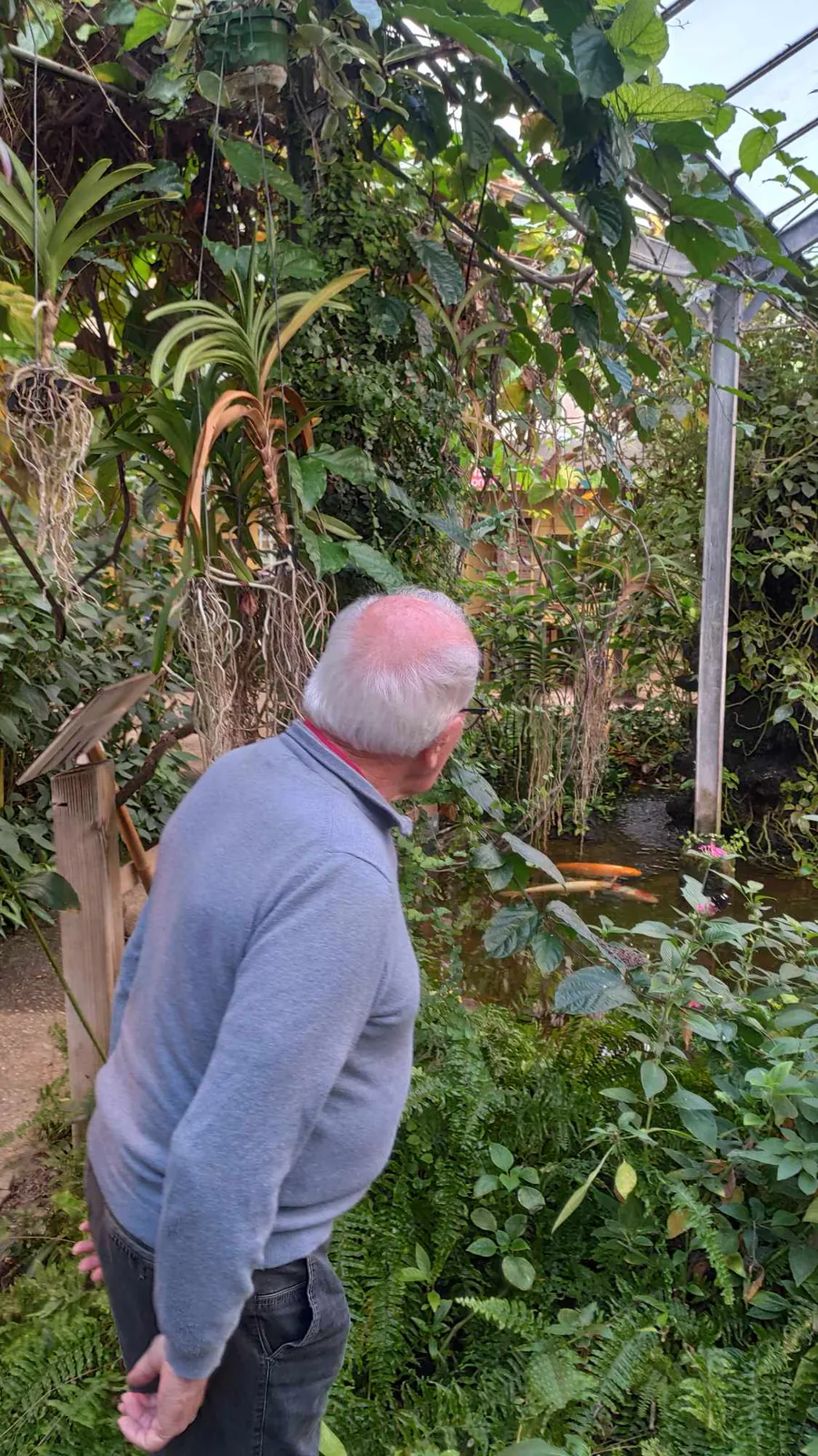 La serre aux papillons 