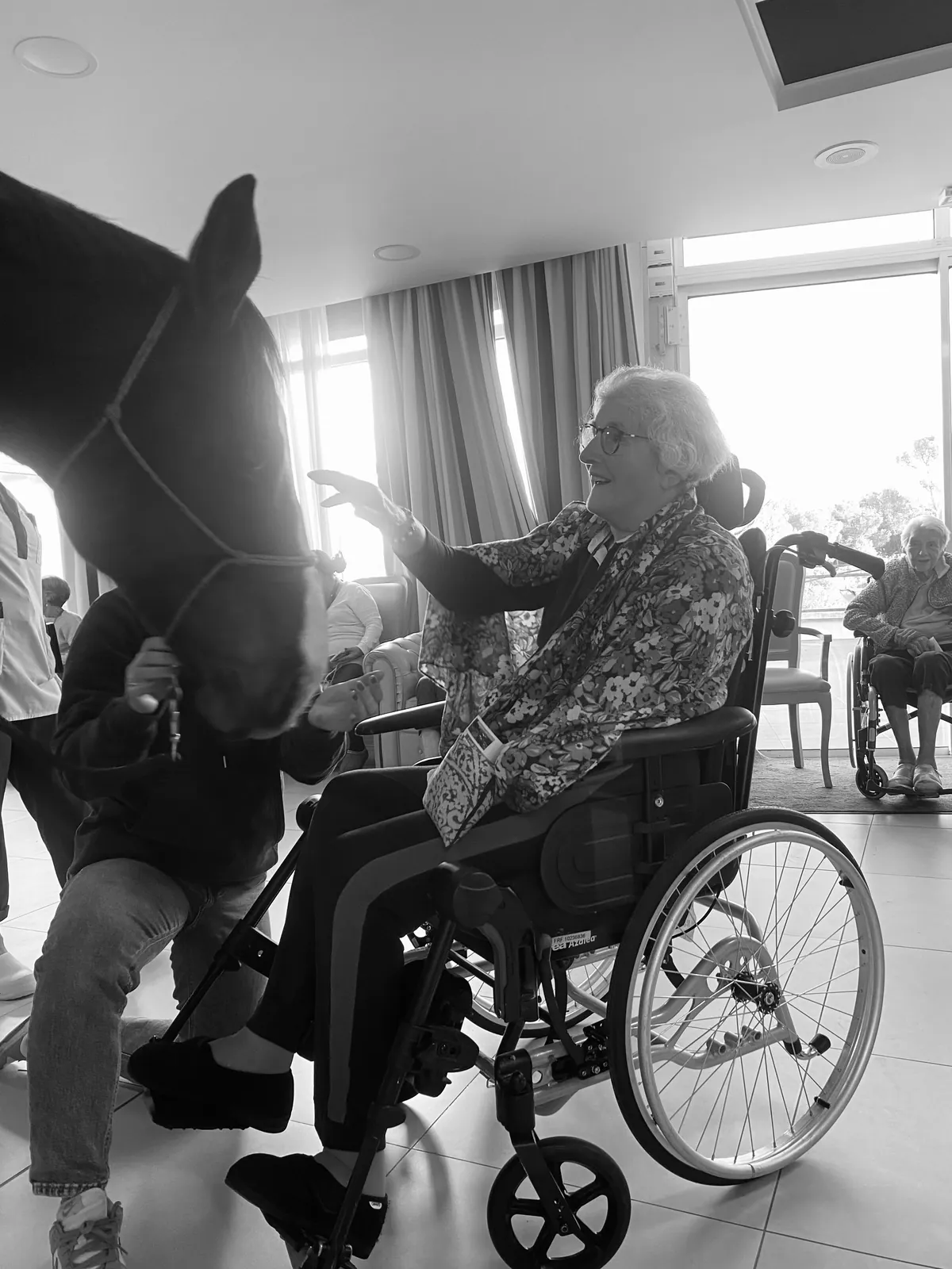 "Au Soleil du Roucas Blanc, le cheval qui murmure à l'oreille des hommes"