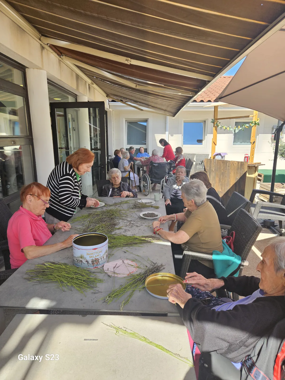Atelier lavande 