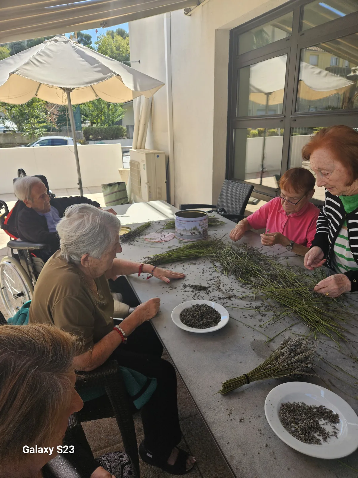Atelier lavande 