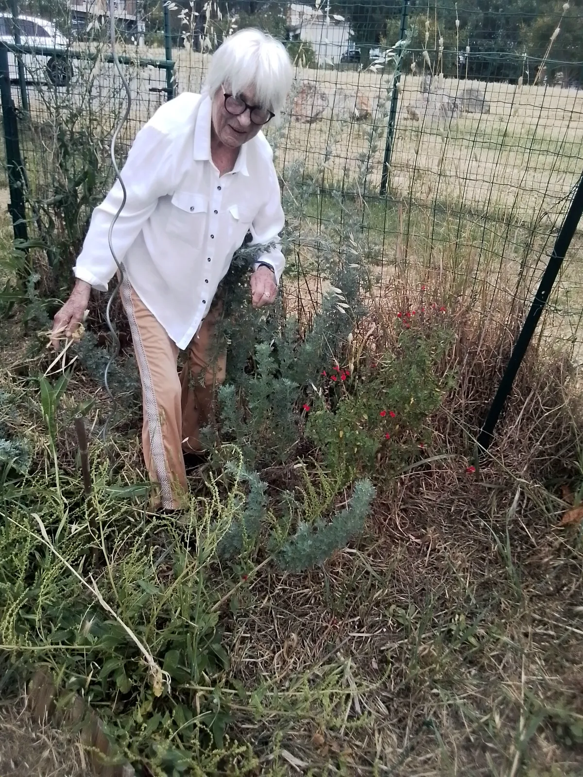 Notre rendez-vous au jardin partagé 