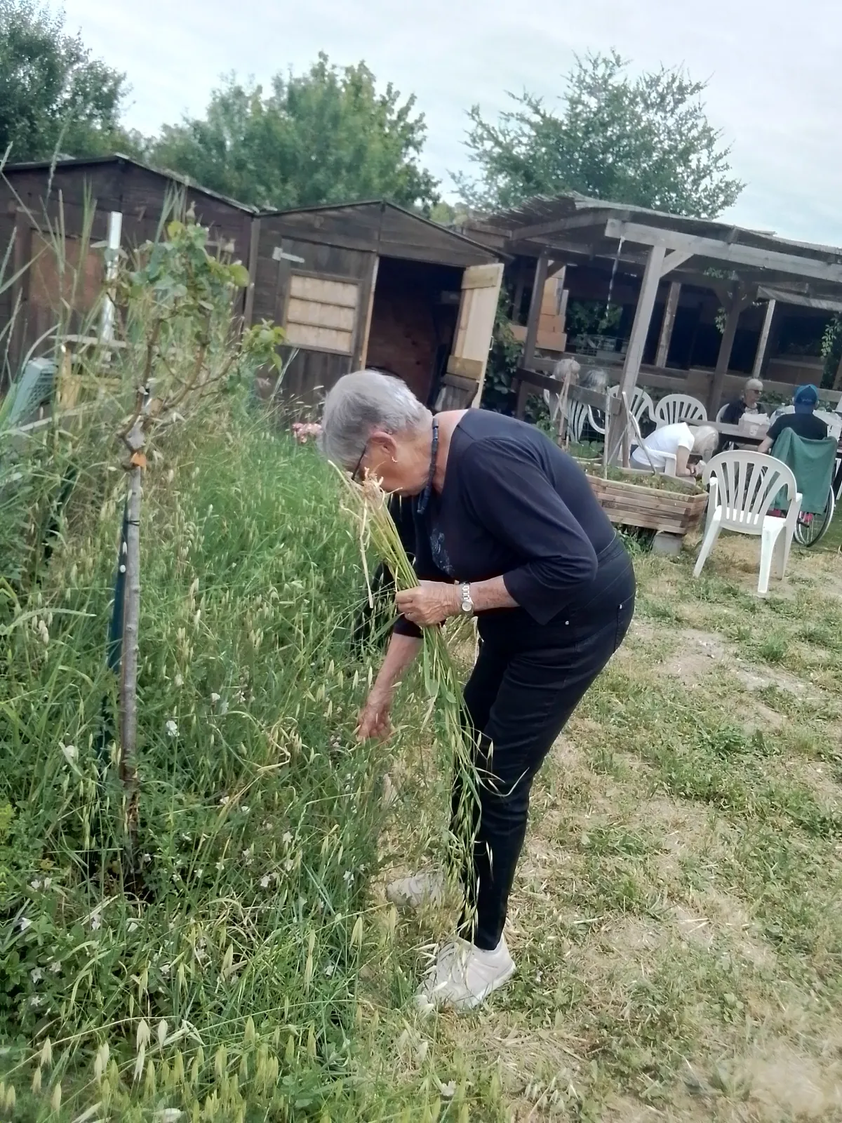 Notre rendez-vous au jardin partagé 