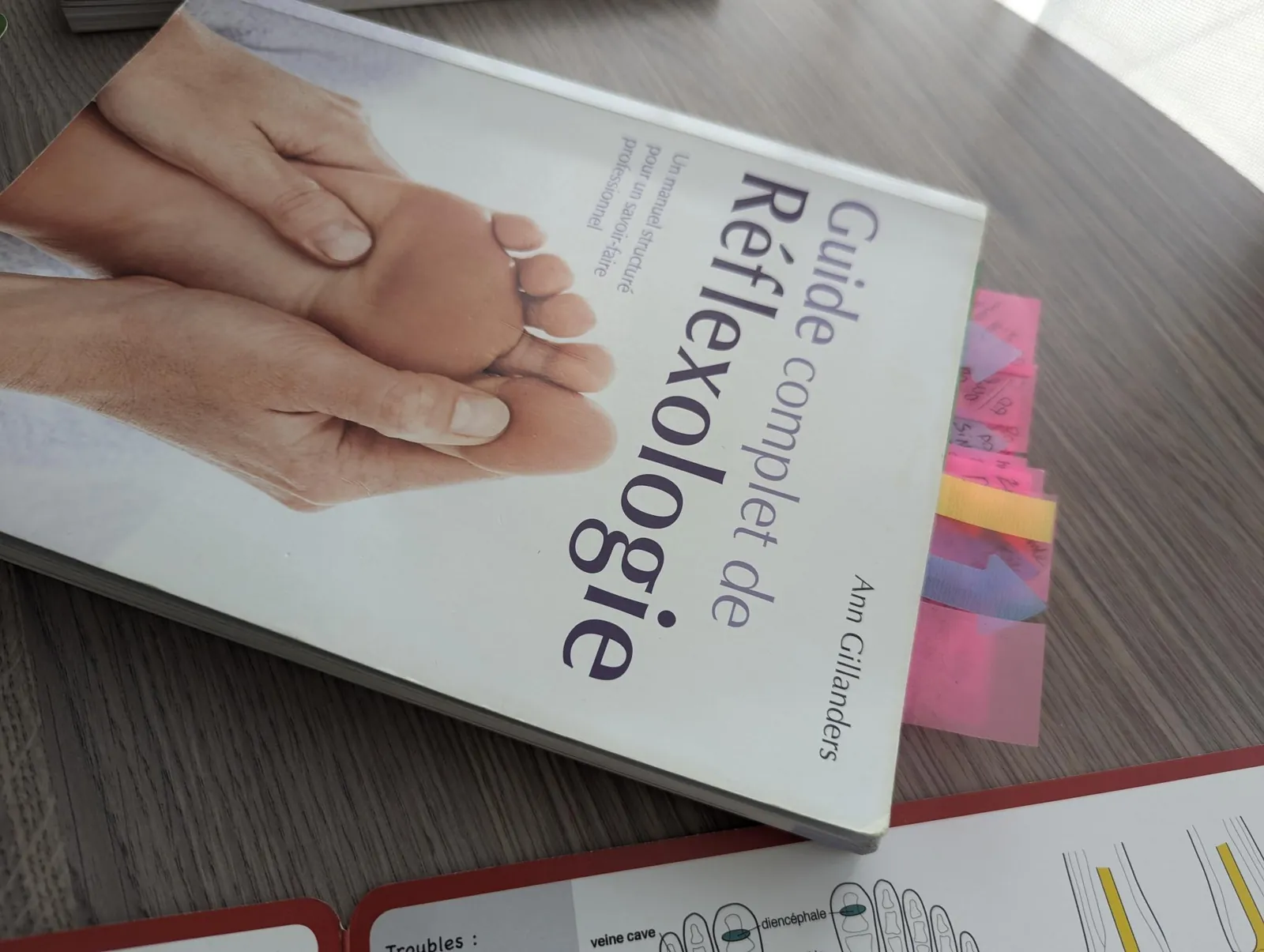 Atelier réflexologie 