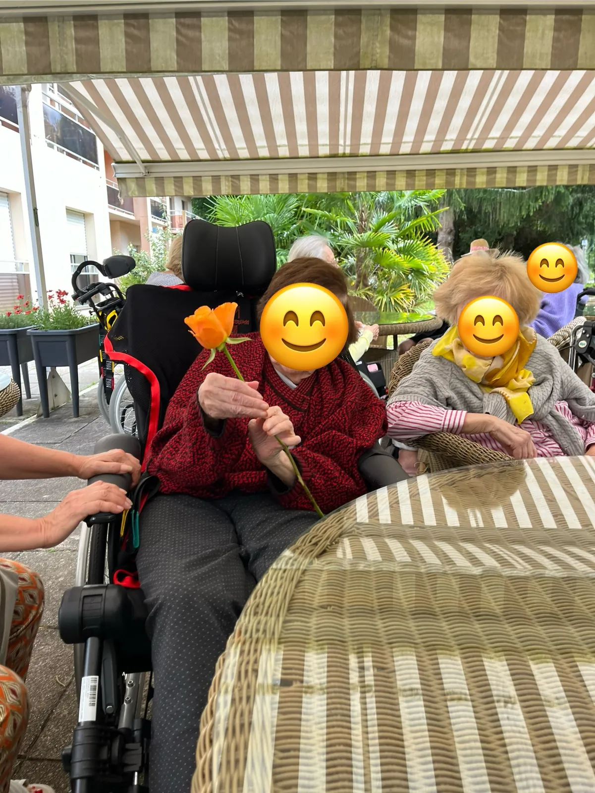 Des fleurs pour orner le rez-de-chaussez !