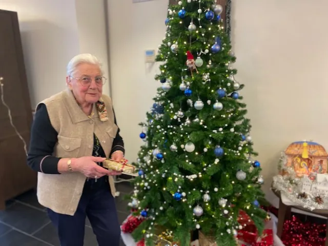 décoration de noël 