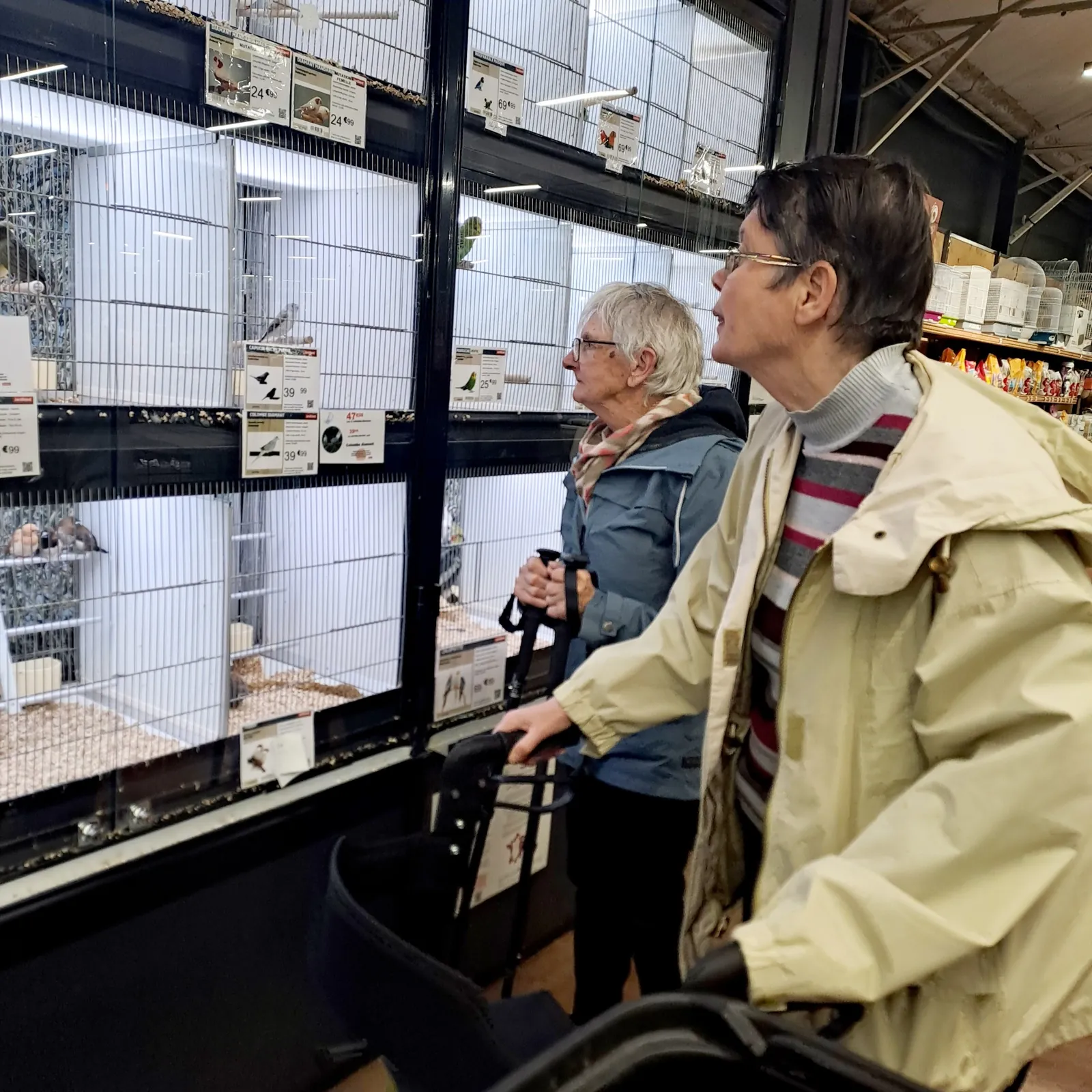 Petite sortie extérieur