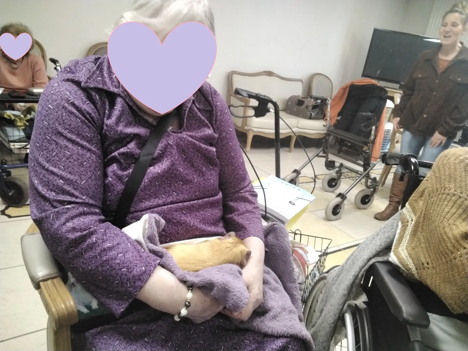  Retour de la zoothérapie aux Jardins Médicis de Pontpoint ! 