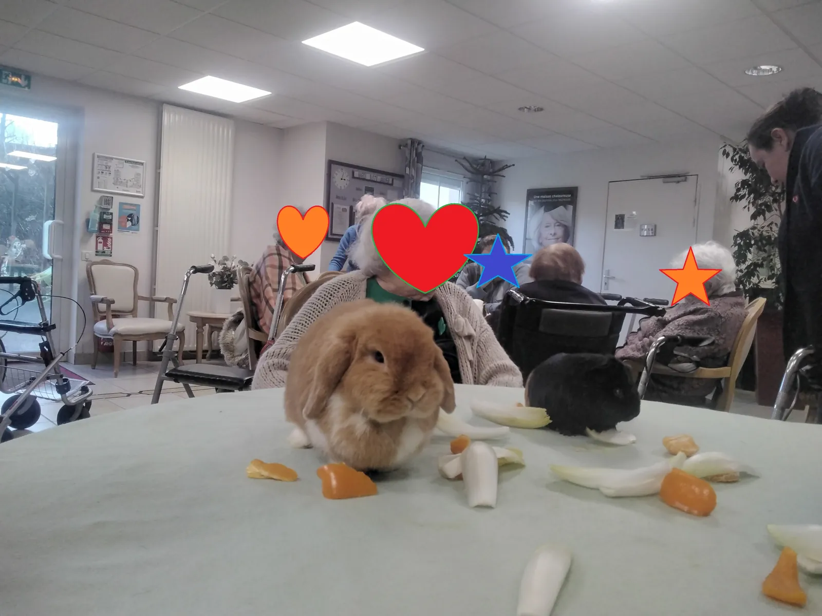  Retour de la zoothérapie aux Jardins Médicis de Pontpoint ! 