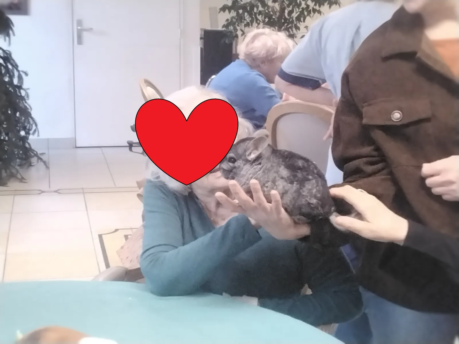  Retour de la zoothérapie aux Jardins Médicis de Pontpoint ! 