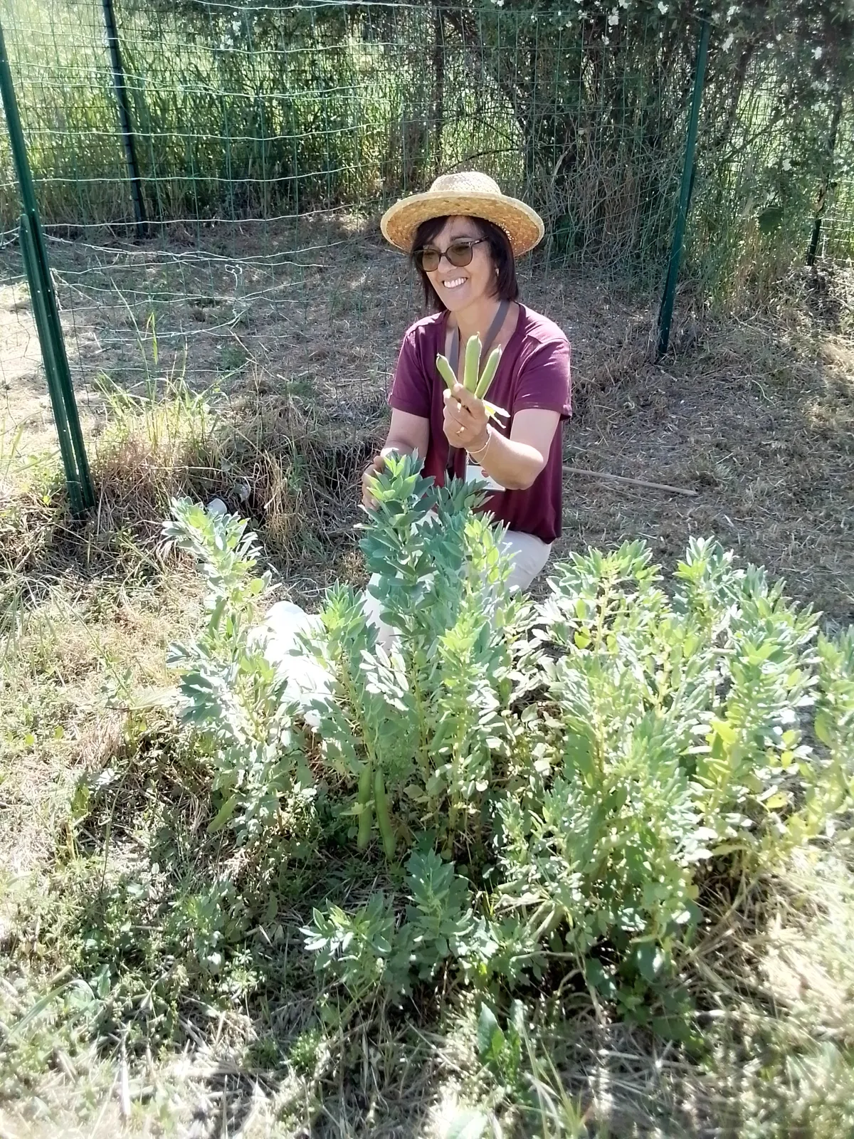 JARDIN PARTAGÉ 