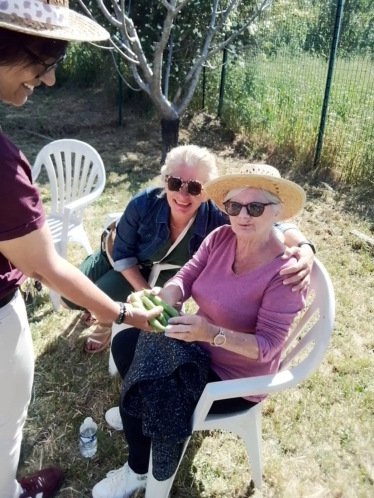JARDIN PARTAGÉ 
