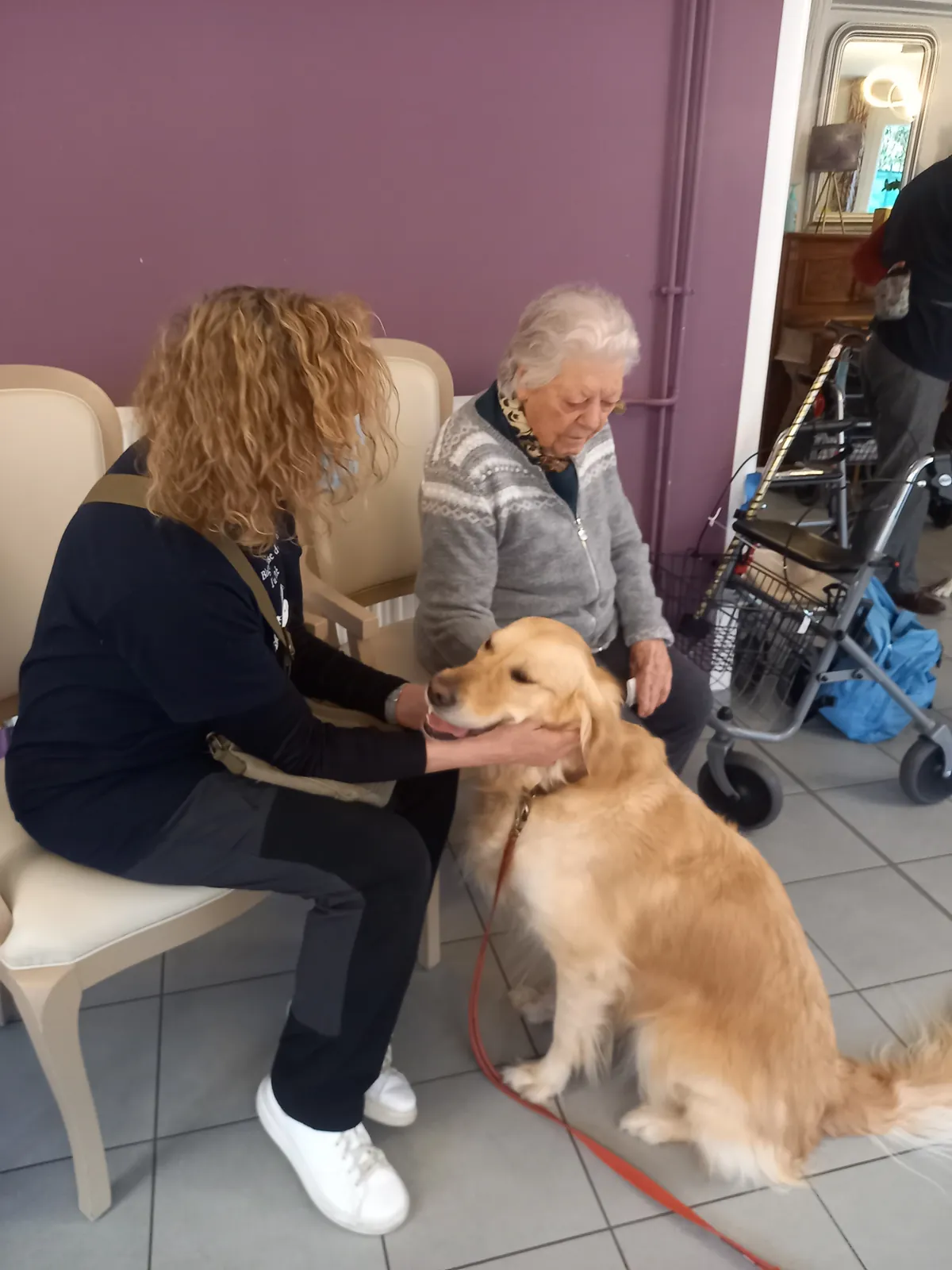 Une Rencontre Touchante avec les Chiens d'Utilité de l'Association ABCD