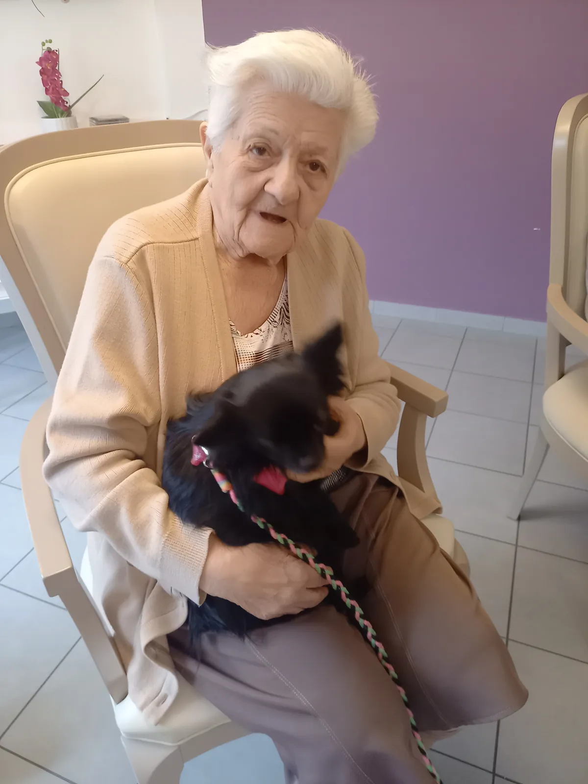 Une Rencontre Touchante avec les Chiens d'Utilité de l'Association ABCD