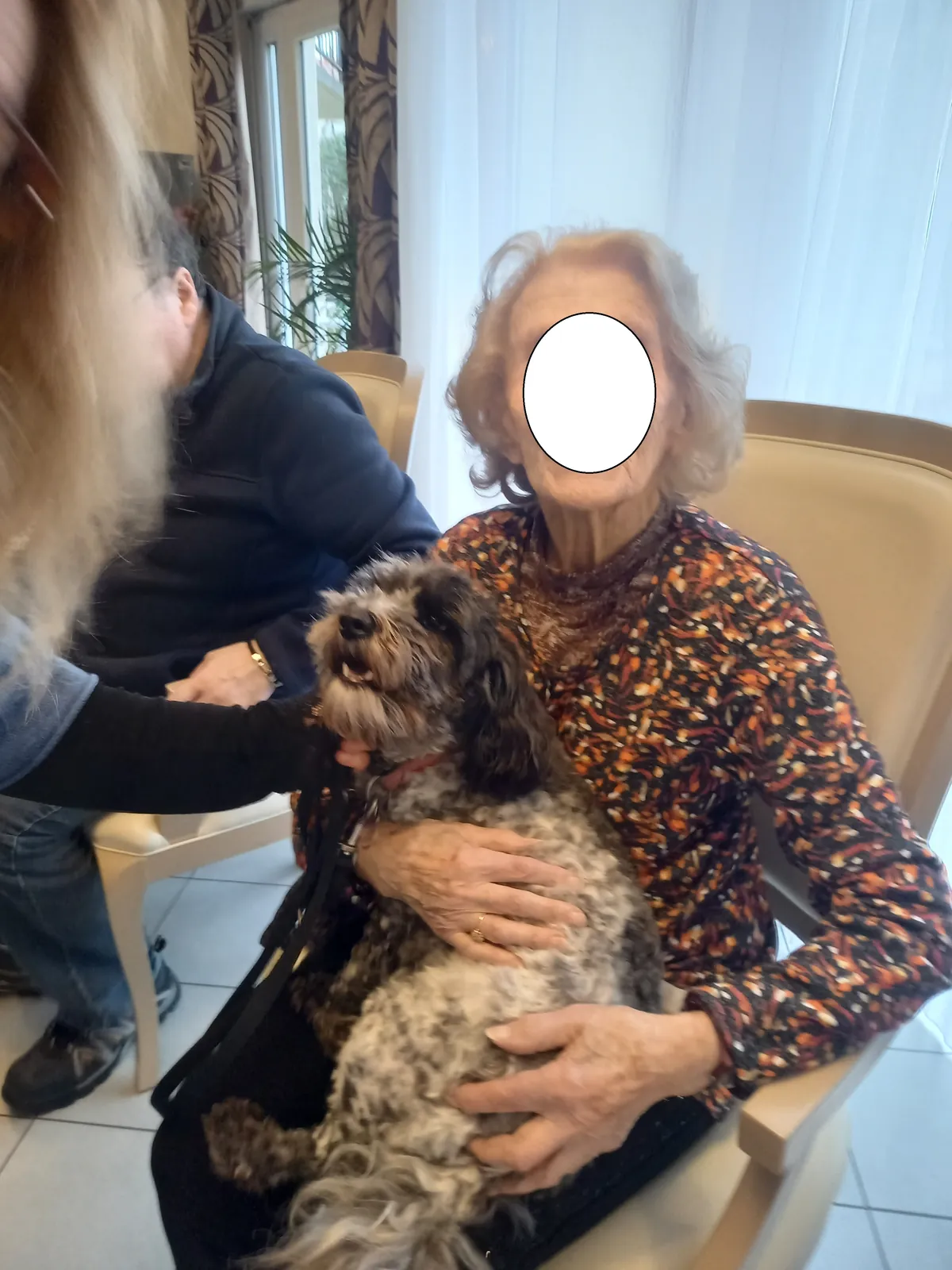 Une Rencontre Touchante avec les Chiens d'Utilité de l'Association ABCD