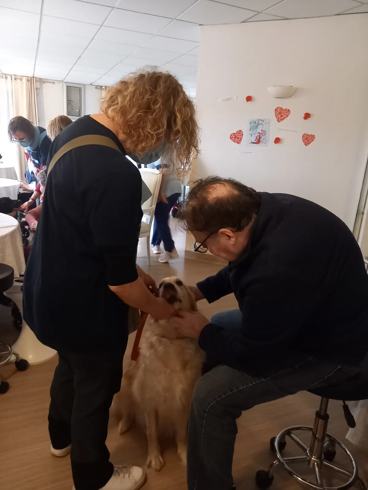 Une Rencontre Touchante avec les Chiens d'Utilité de l'Association ABCD