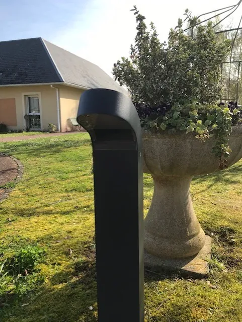 J'ai descendu dans mon jardin...