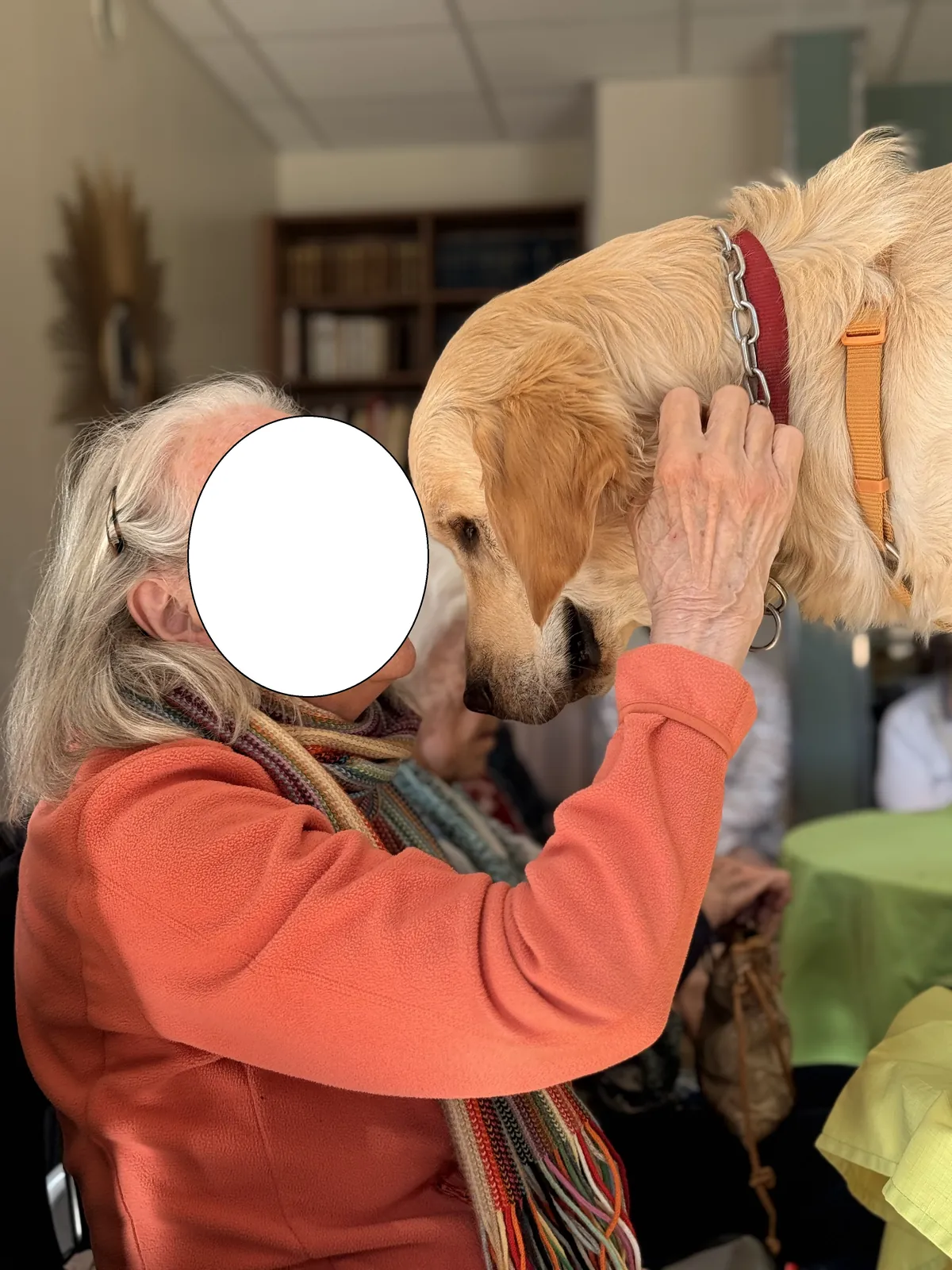 une belle après midi avec les animaux 