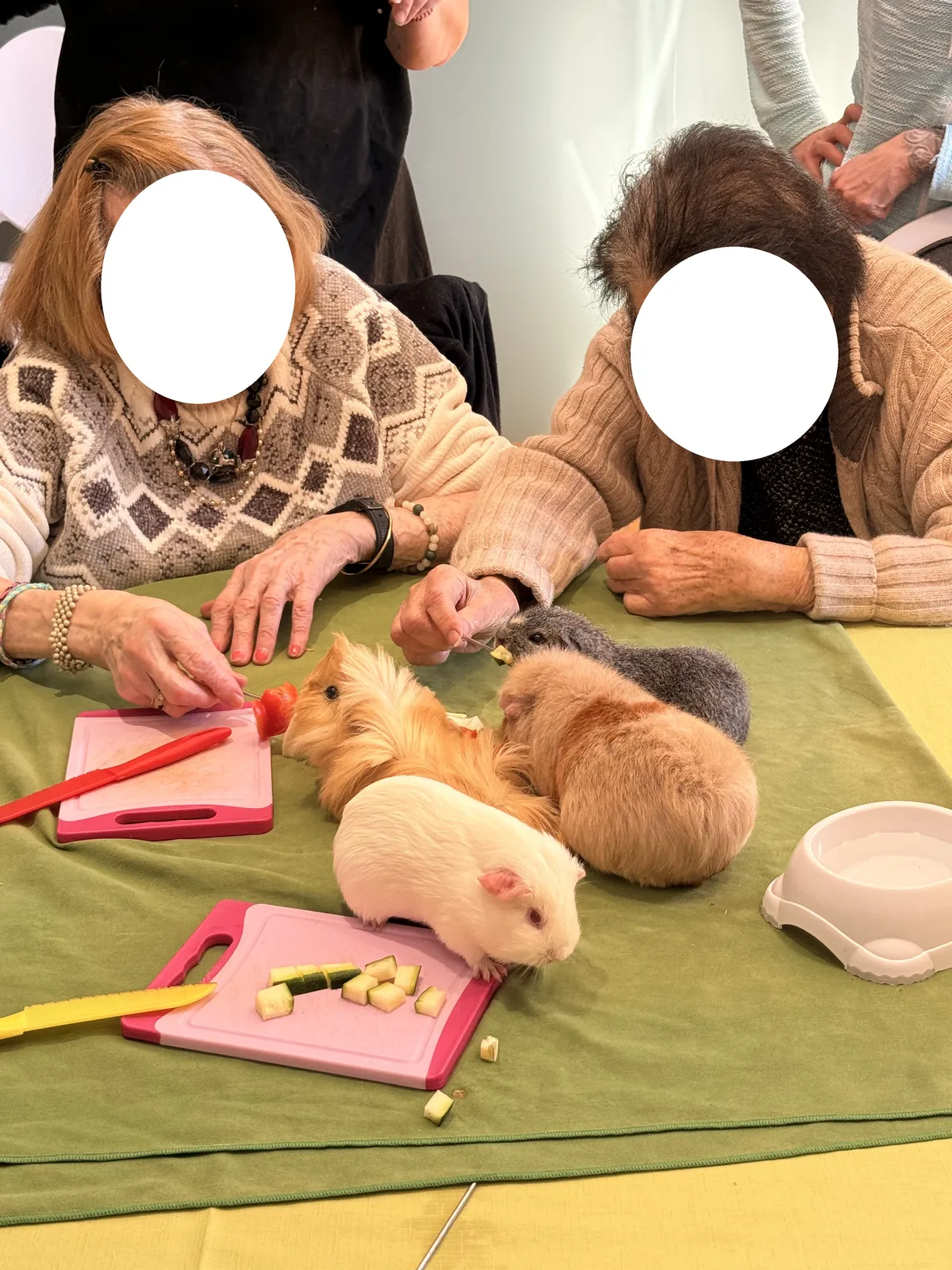 une belle après midi avec les animaux 