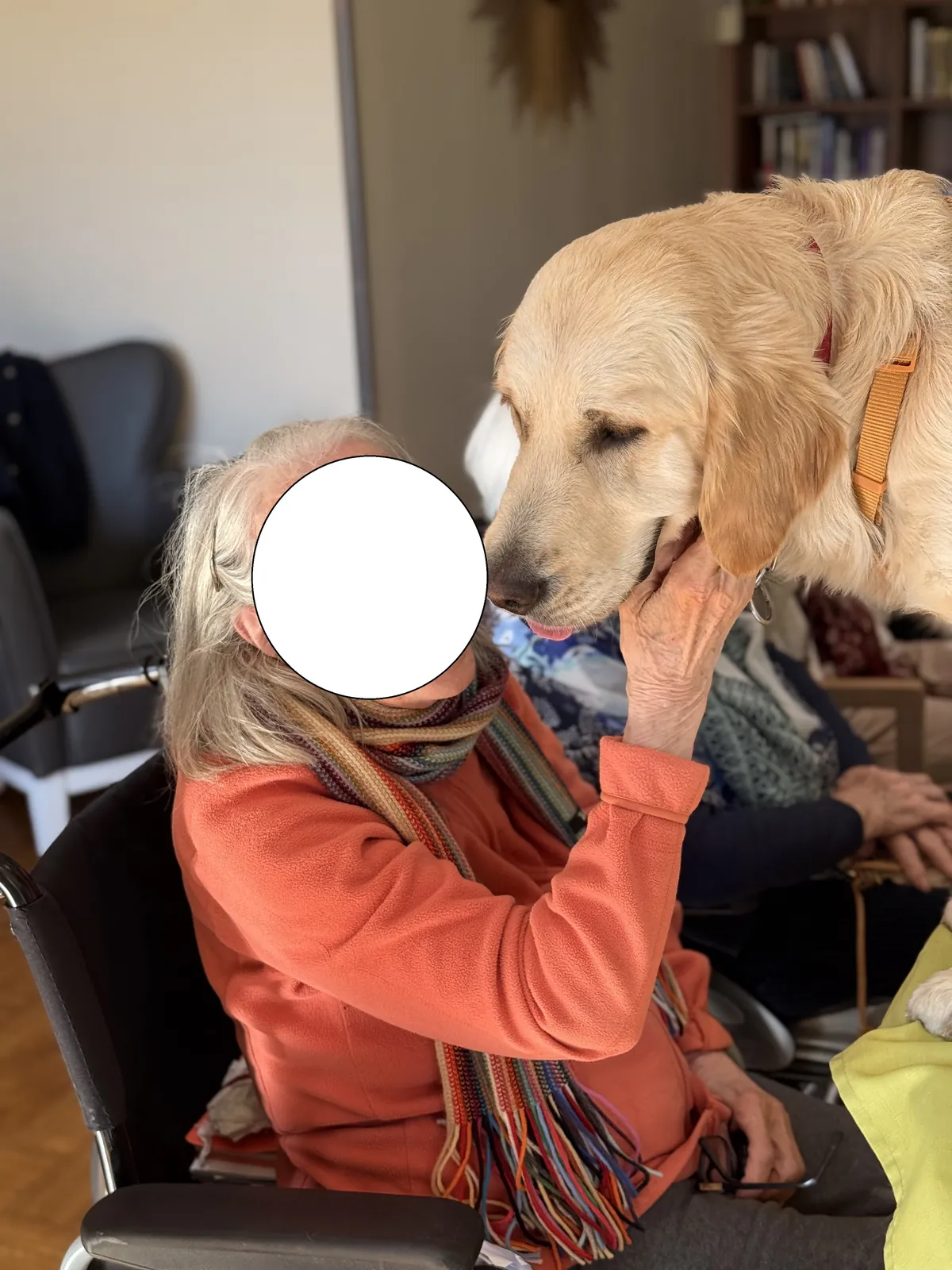 une belle après midi avec les animaux 