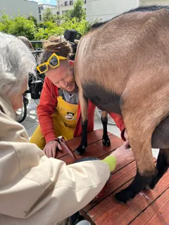 Une ferme pédagogique itinérante s’installe le temps d’un après-midi dans les jardins de la maison de retraite de Thiais.
