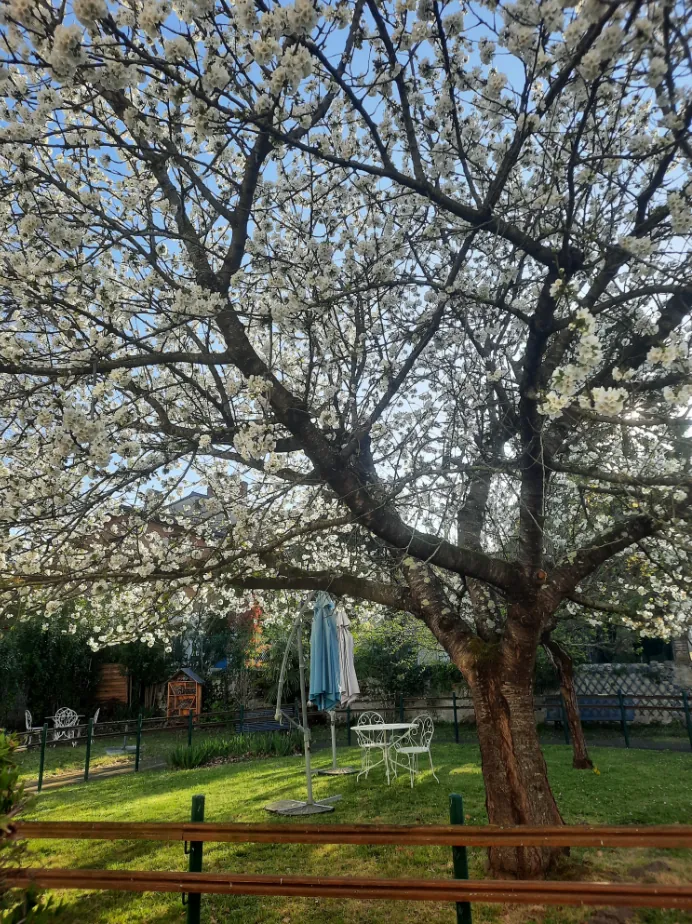 Le jardin vous attend !