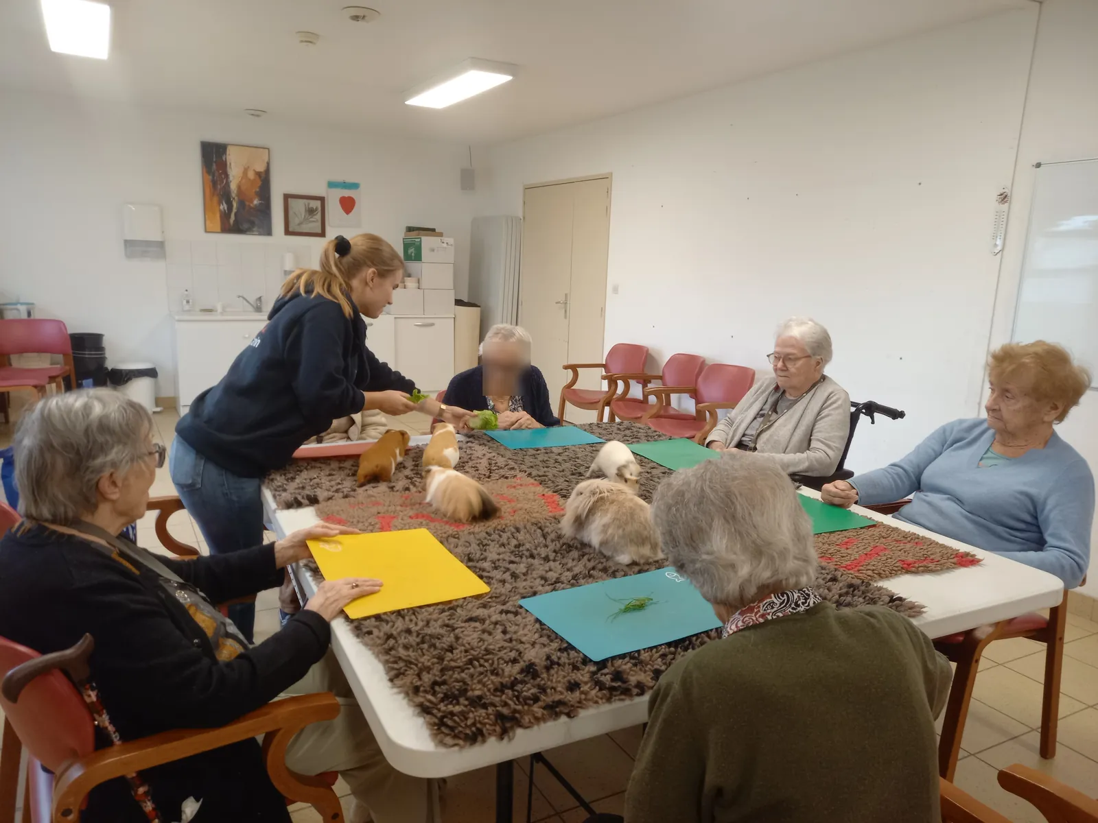 Retour sur l’atelier de médiation animale aux Terrasses de Mailheaux