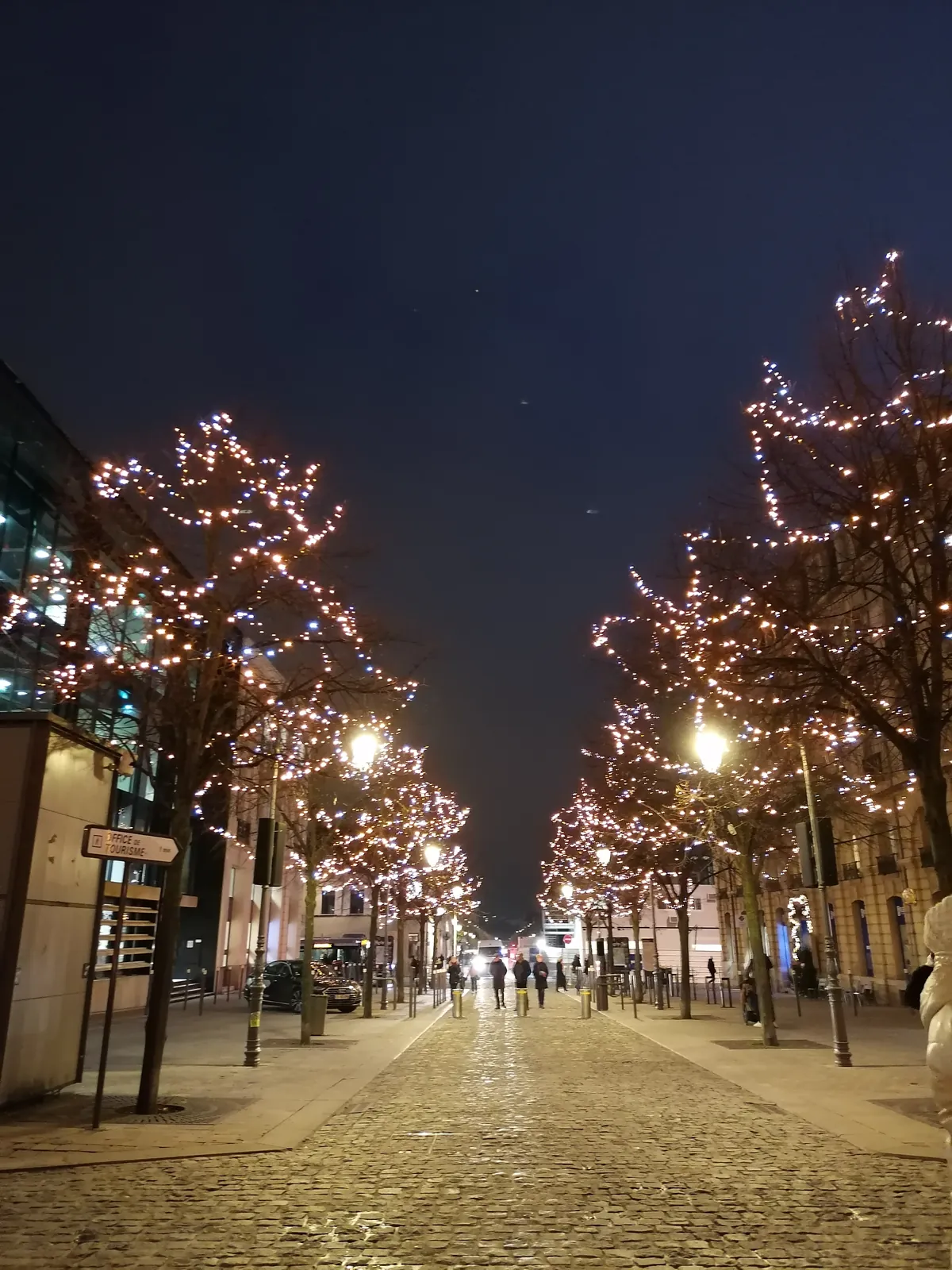 Les Tourterelles d’Esbly au Marché de Noël de Reims.