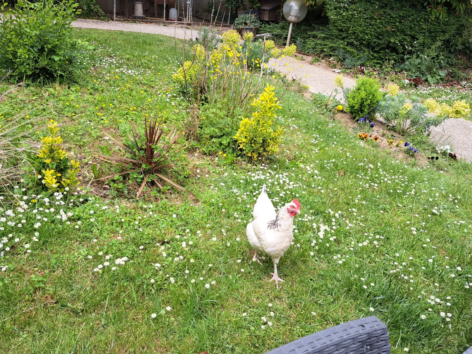 CHASSE AUX OEUFS A LA RESIDENCE LES JARDINS D'EPINAY