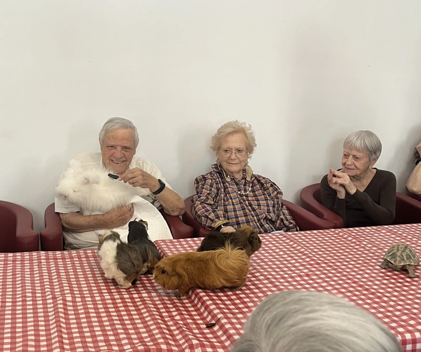 Atelier de zoothérapie