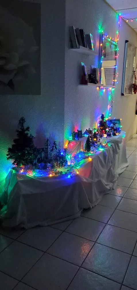 La féérie de Noël s'installe au Grand Jardin