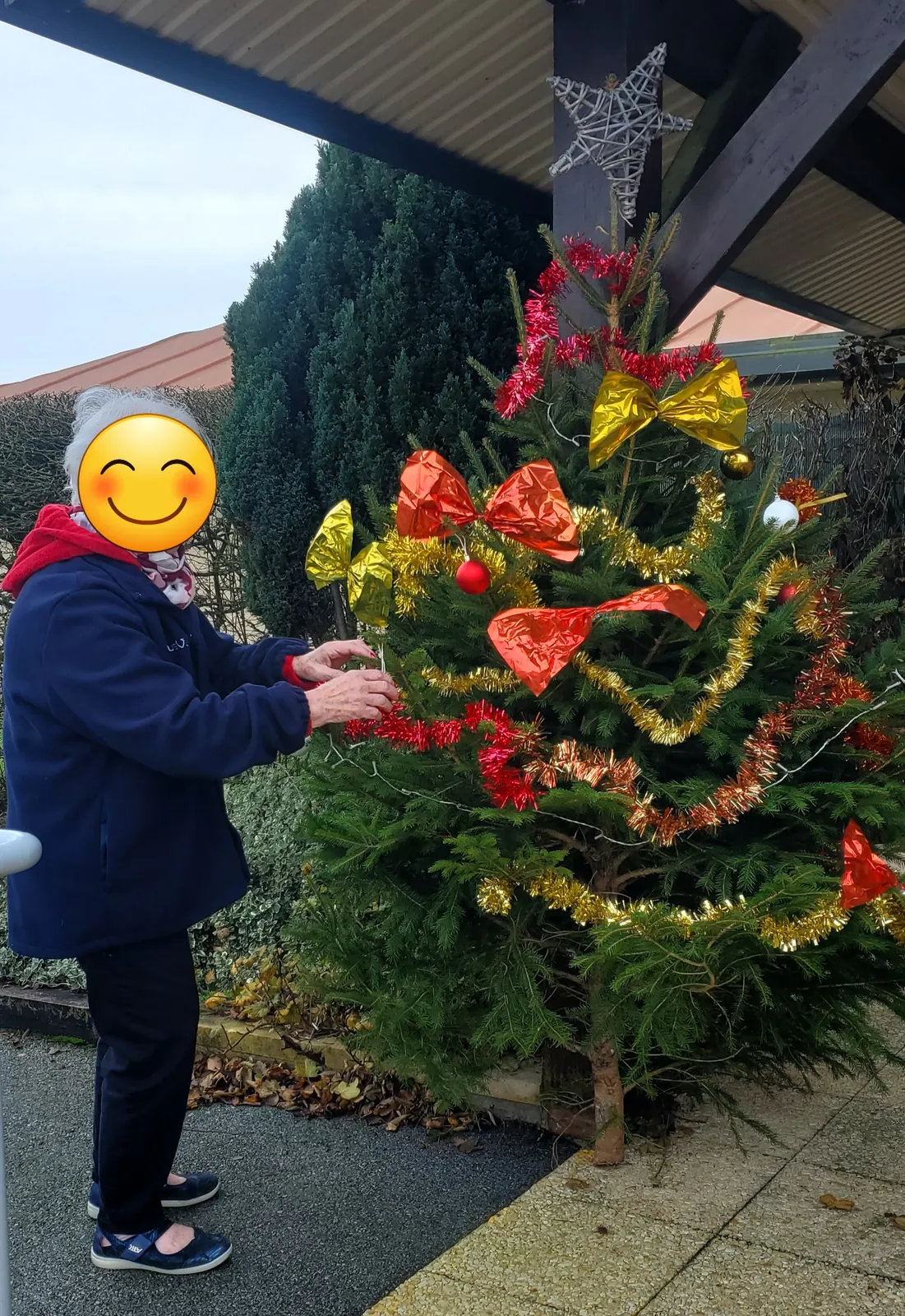 La féérie de Noël s'installe au Grand Jardin