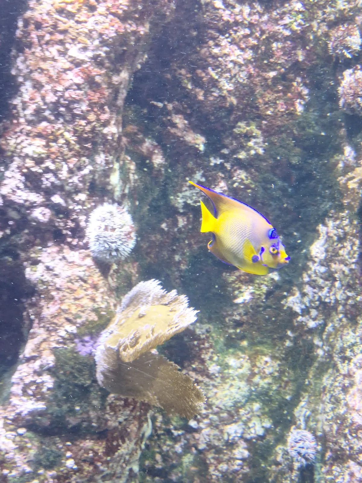 Sortie à l'Aquarium de la Rochelle 