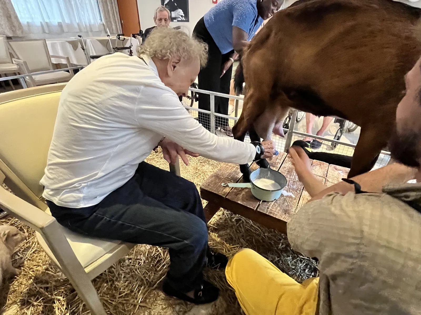 Une rencontre intergénérationnelle pleine de douceur avec la ferme Tiligolo 