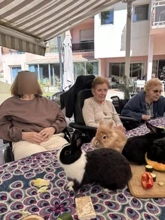  Un après-midi tout en douceur avec nos animaux 