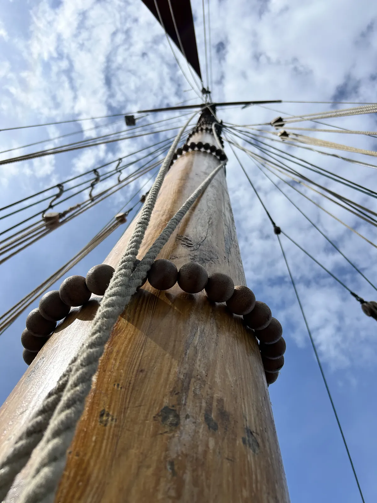 la croisière s'amuse 