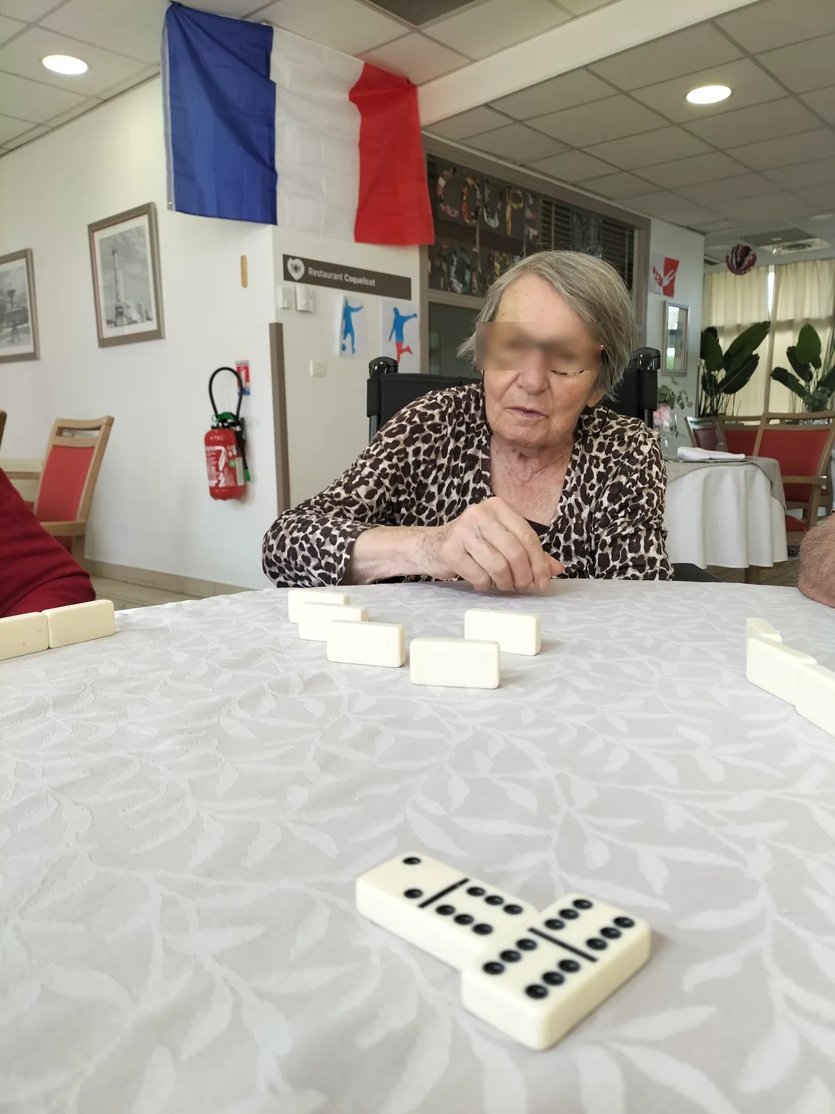Dominos 