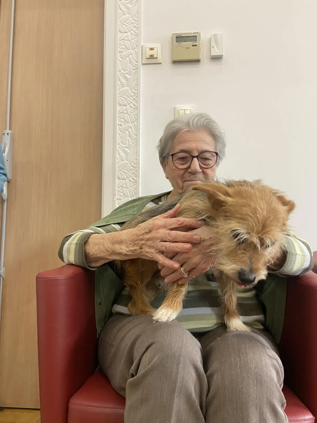 Séance de Zoothérapie à la Résidence – Un Moment de Bonheur et de Douceur