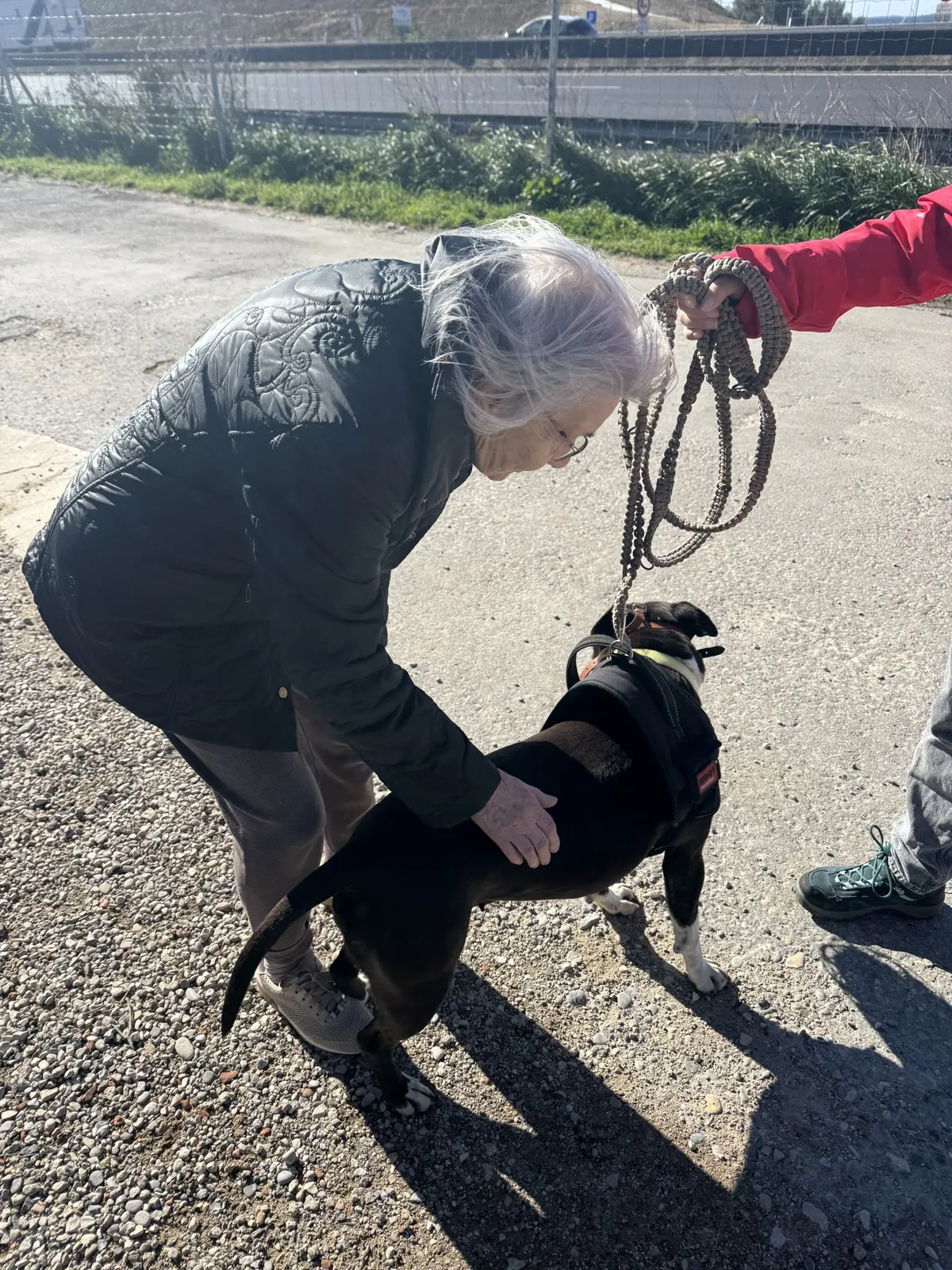 Rencontre avec les animaux de la SPA 