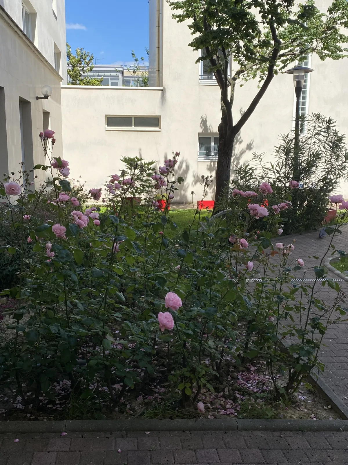 On retrouve pleinement le Jardin aux Marines