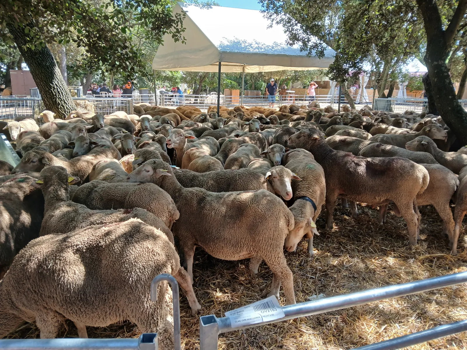 visite et escapade au salon de l'agriculture le 05 juin 
