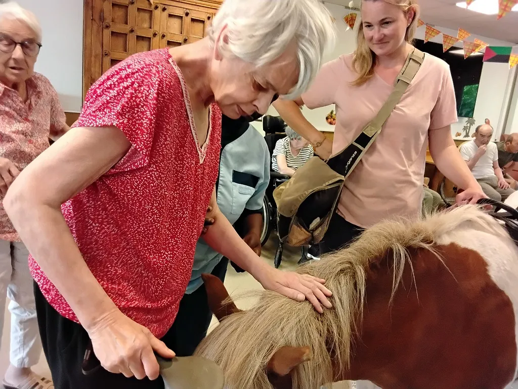 Un poney au milieu du salon !