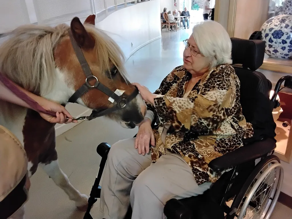 Un poney au milieu du salon !