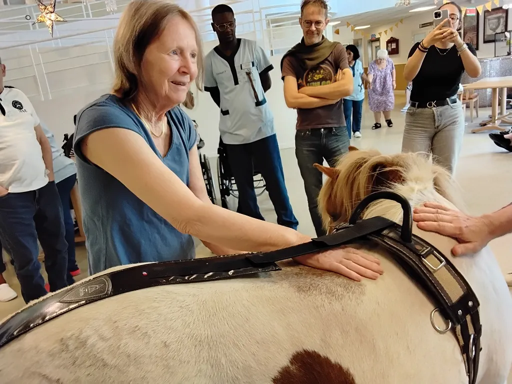 Un poney au milieu du salon !
