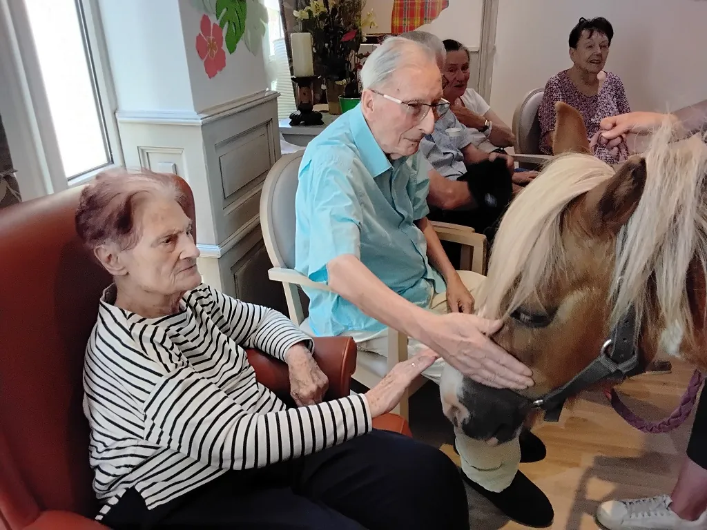 Un poney au milieu du salon !