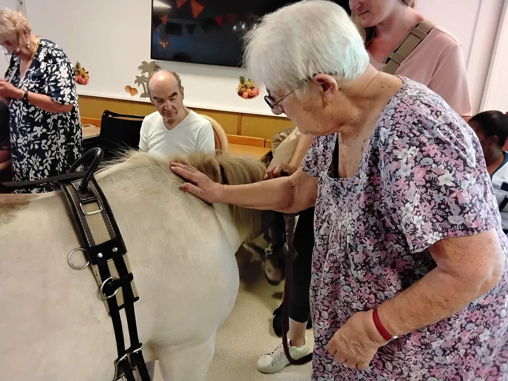 Un poney au milieu du salon !