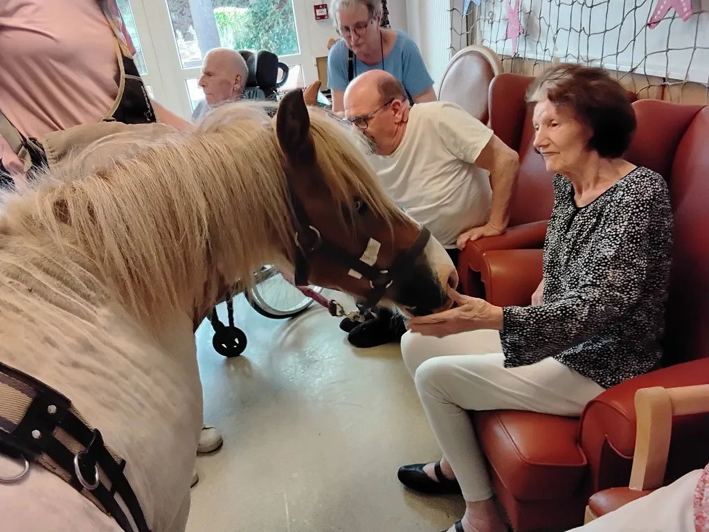 Un poney au milieu du salon !